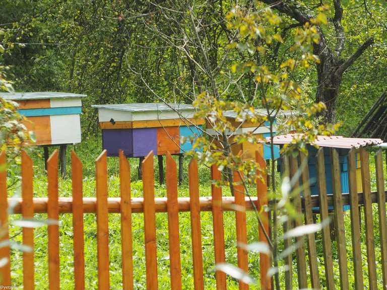 colorful apiary 3.jpg