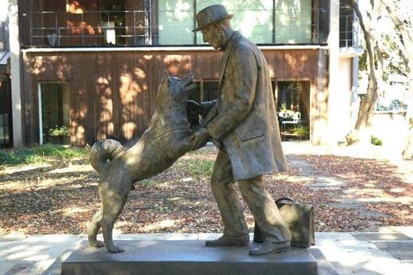 hachiko.jpg