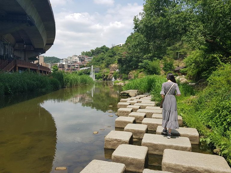 20180616_135131.jpg