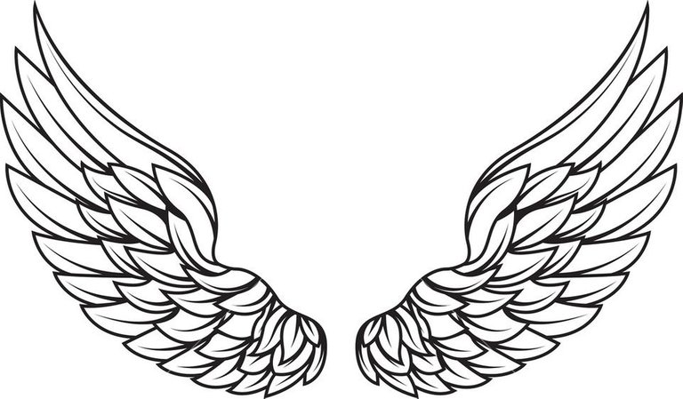 wings-vector-element_GkTXg3L__SB_PM.jpg
