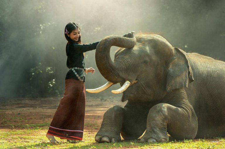 girl-and-elephant-1822525_1280.jpg