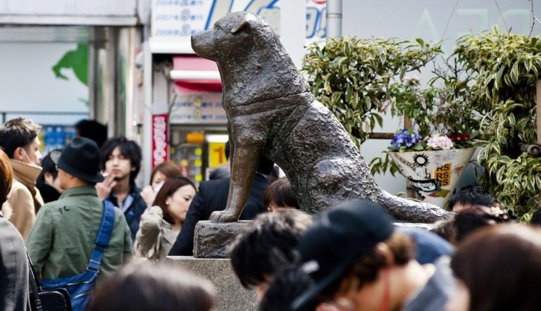 hachiko-perro-fiel.jpg