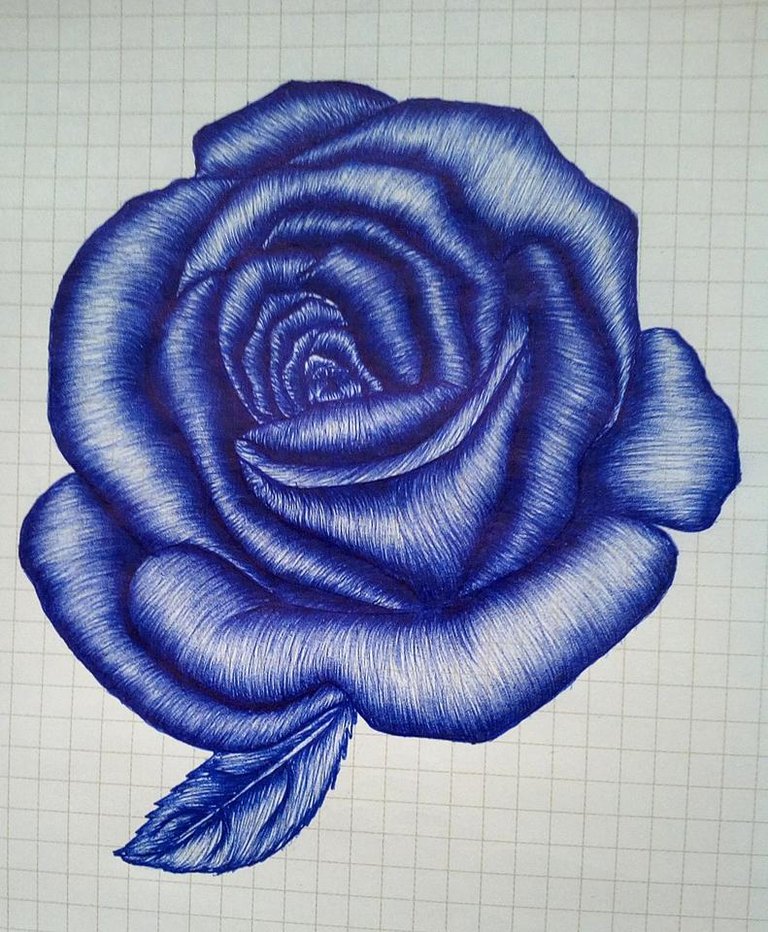 Blue Rose.jpg