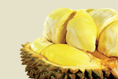 Durian-2016.png