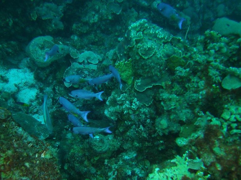 PICT0193 Bonaire.JPG