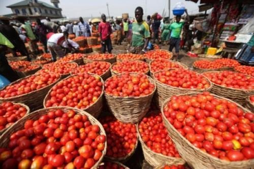0109-7361-heavy-rains-and-exports-raise-tomato-prices-on-cameroonian-market_L.jpg