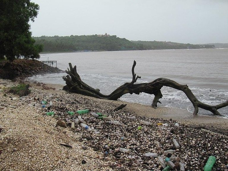 800px-Waste_cocobeach_india.jpg