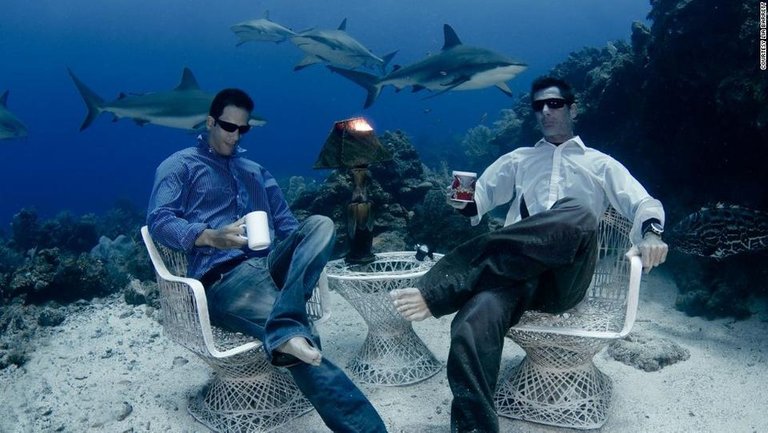 Coffee with Sharks