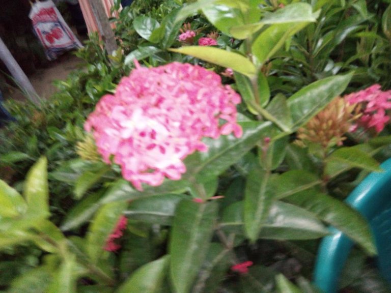 IMG_20180815_193309.jpg