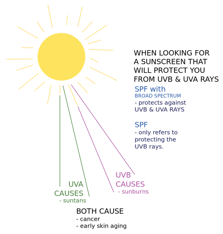 973px-Sun_rays_diagram.svg.png