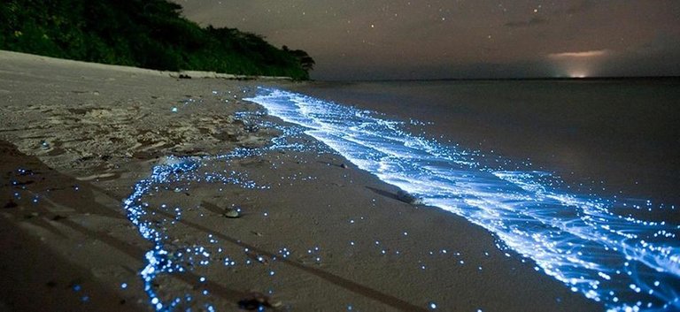 abel tasman national park in new zealand.jpg