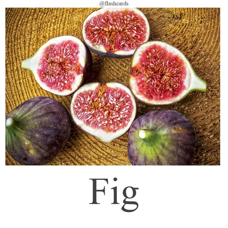 Fig.jpg