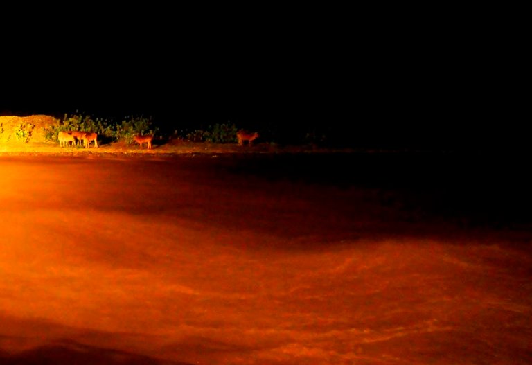 air sungai yang keruh.jpg