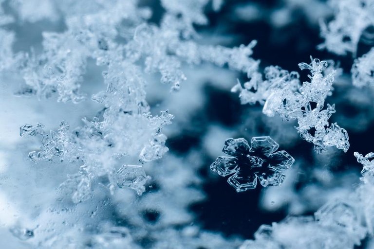 The-art-of-frost.jpg