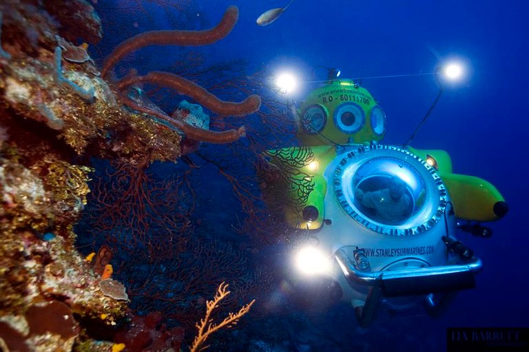 Karl Stanley's submarine Idabel cruises along the coral reef wall in Roatan, Honduras