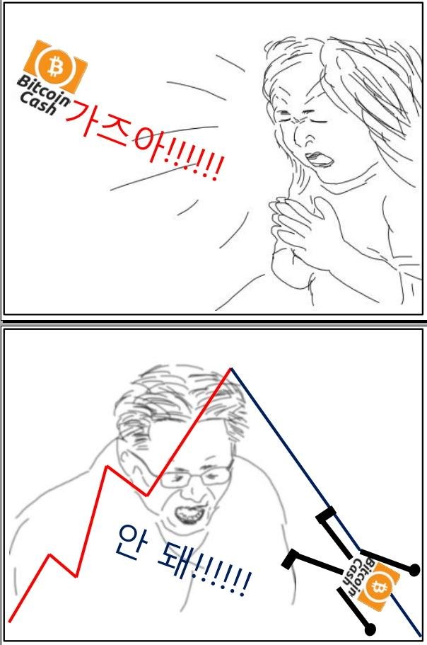 본격 삐쭈&알뜨 코인 만평_비트코인캐시2.jpg