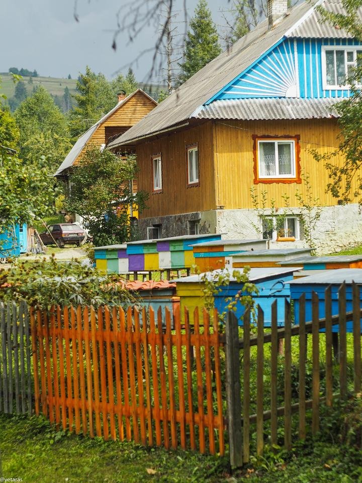 colorful apiary 2.jpg