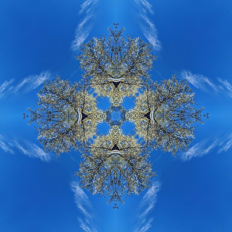 raw3A2Fstorage2Femulated2F02FDownload2F20190421_181413_mirror6.jpg