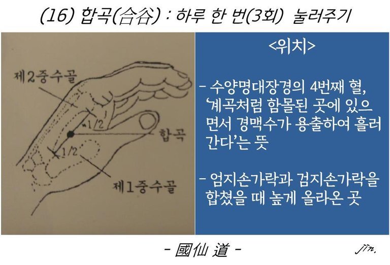 합곡혈.jpg