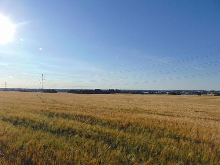 DSC02092.JPG