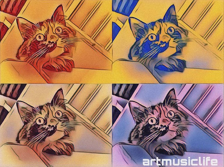 artmusiclife cats