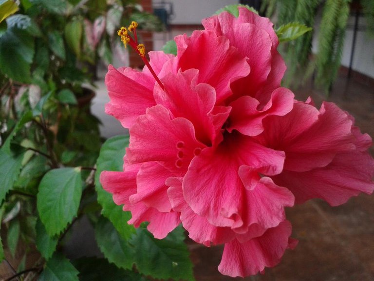 20180609_130746.jpg
