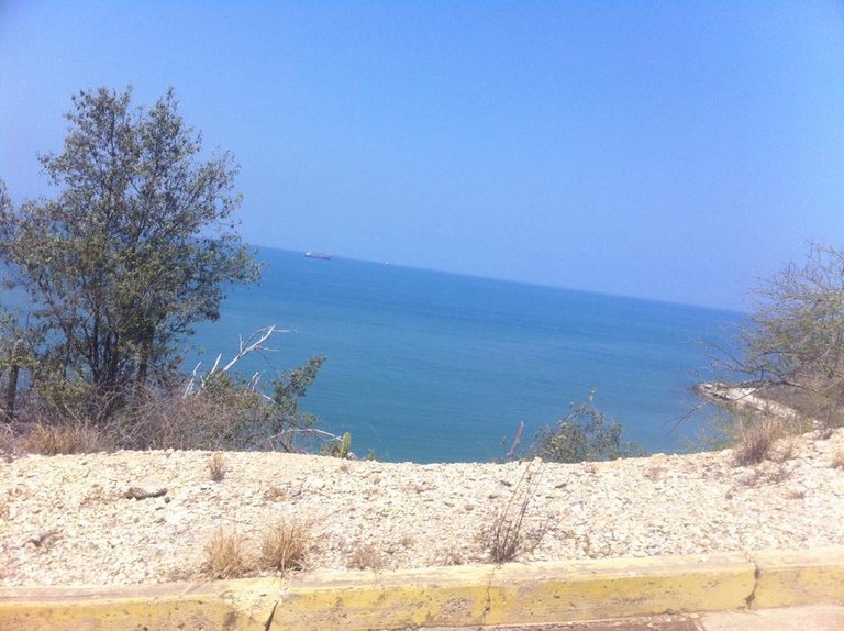 lecheria-2.jpg