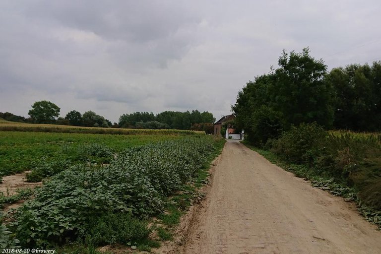 20.08-03.jpg