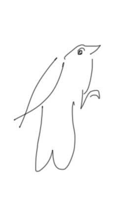 Bird drawing.jpg