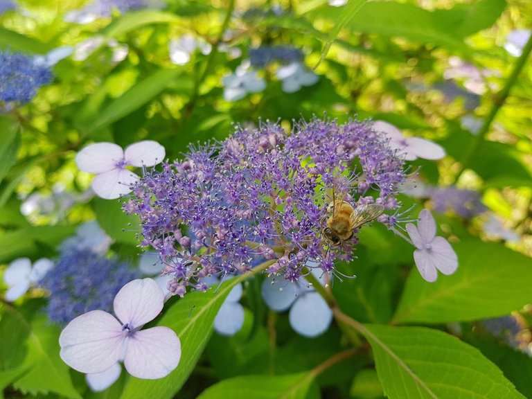 20180616_140025.jpg