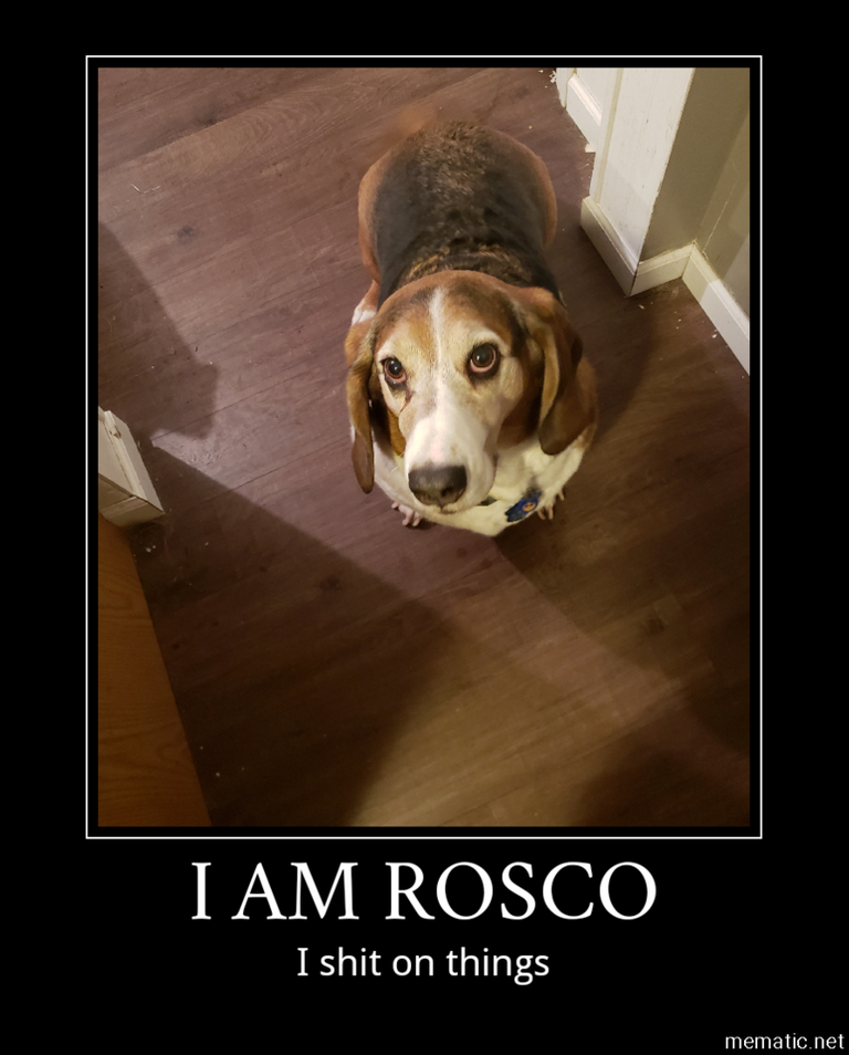 rosco shit meme.png