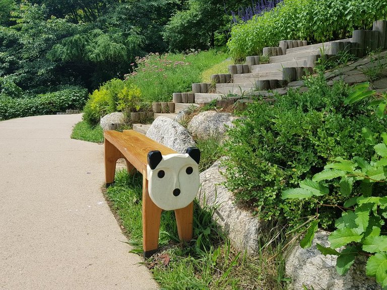 20180616_140614.jpg