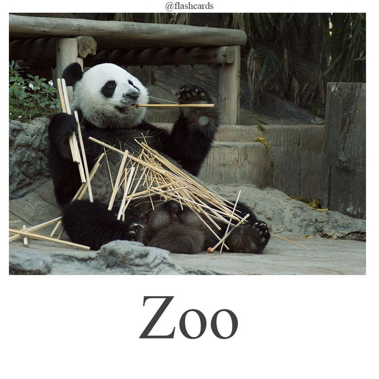 Zoo.jpg