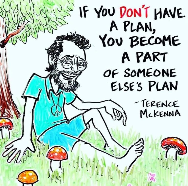 Terence mckenna.jpg