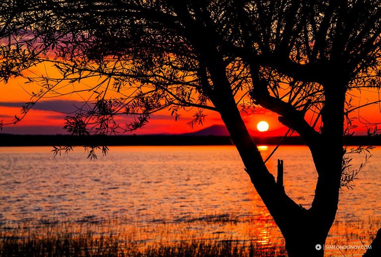 bulgaria-sunset-lake-rabisha-1.jpg