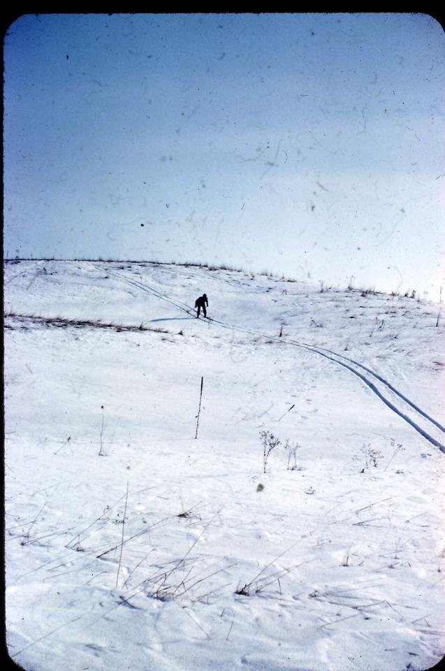 mountain monday 4.jpg