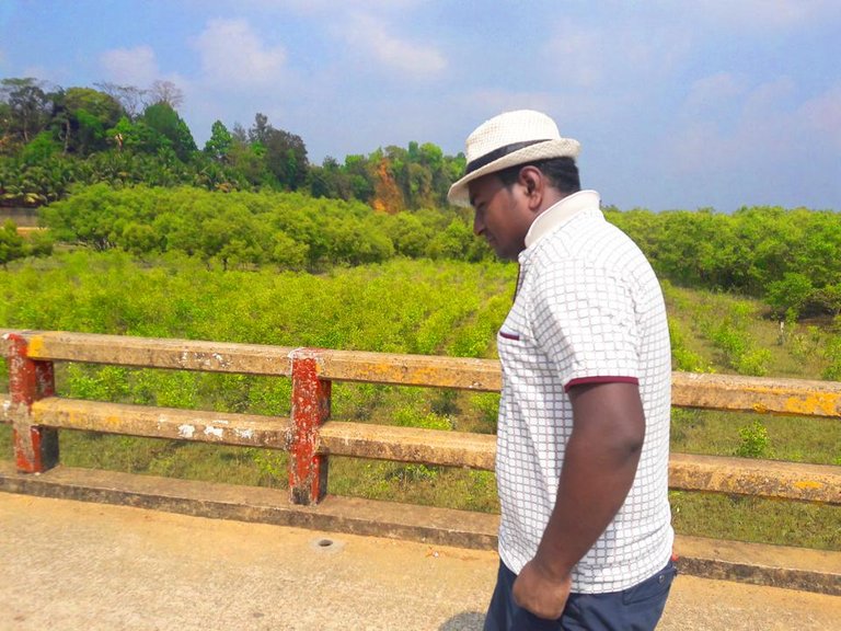 20170224_122111 copy.jpg