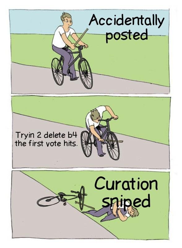 Bicycle fall -curation sniped.jpg 2.jpg