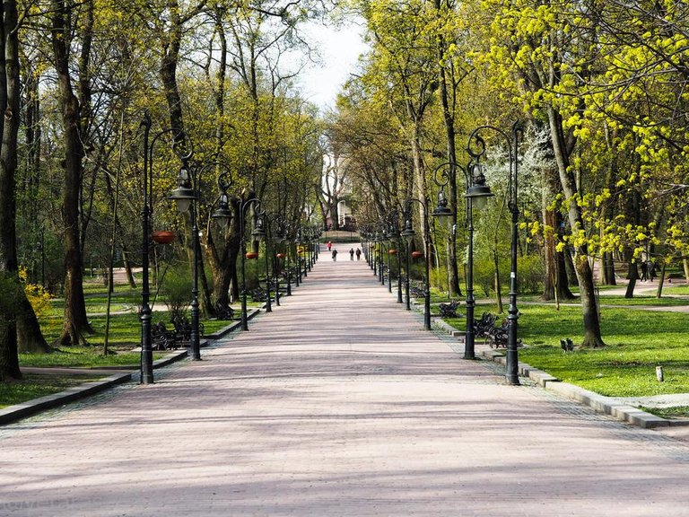 park lviv 1.jpg