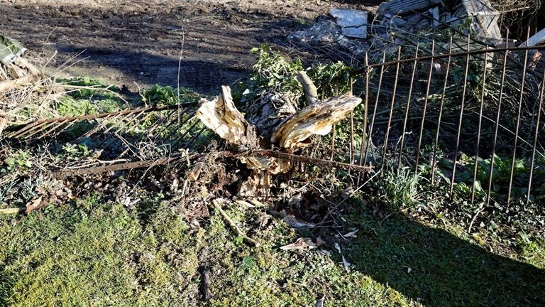 St_Mary's_Church,_Great_Canfield,_Essex___churchyard_broken_fence.jpg