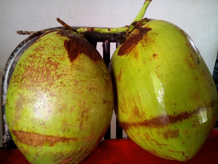 Green coconuts 2.jpg