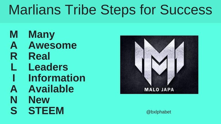 Marlians Tribe Steps for Success bxlphabet.jpg