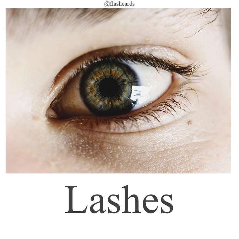 Lashes.jpg
