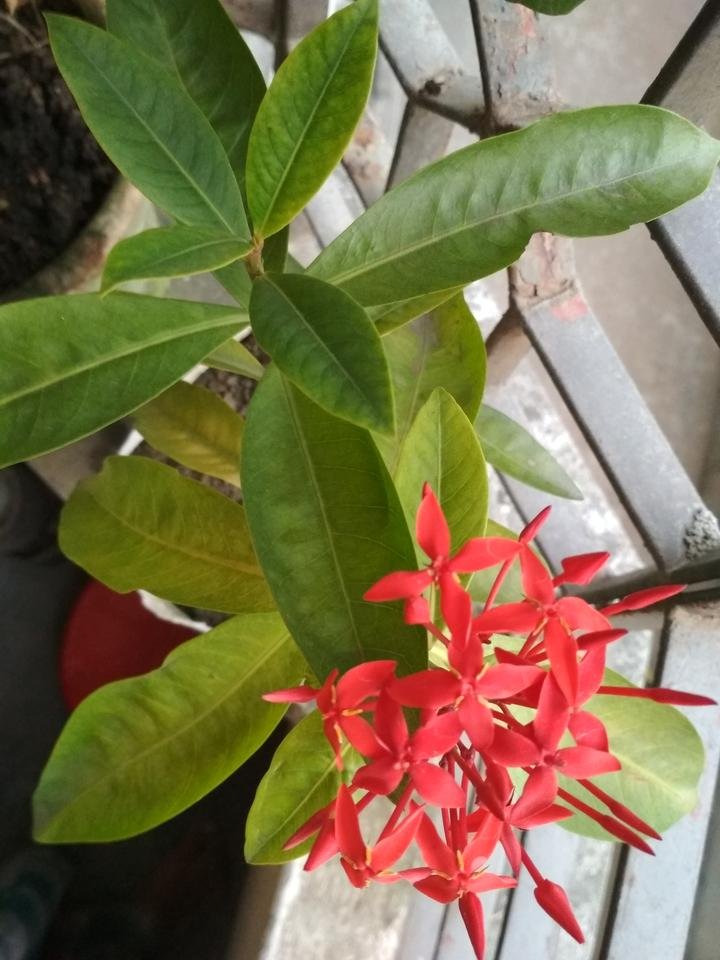 IMG_20181009_165924.jpg