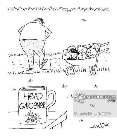 cartoon head gardener cartoon.jpg