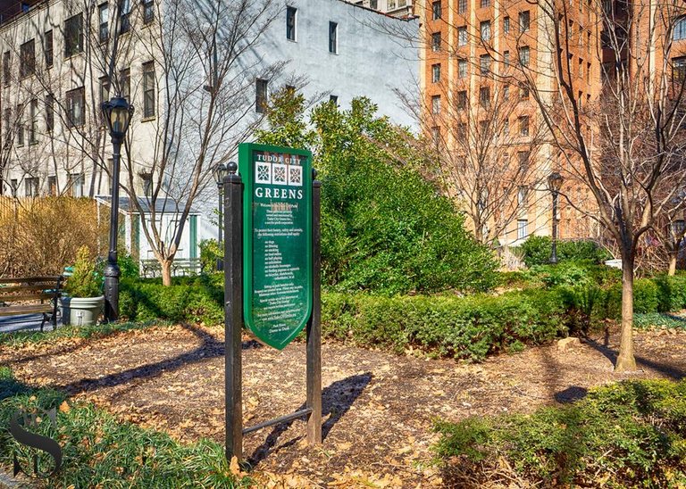 1 Wednesday Walk Tudor City Green.jpg