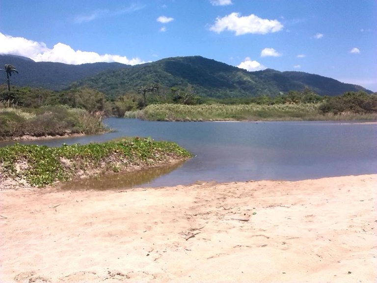 La_Sabana002.jpg