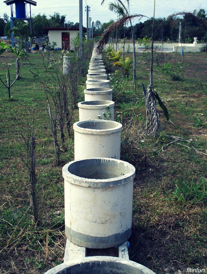 shape planters to be Northern thailand fitinfun (1).jpg