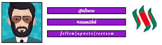 sfturzocustombanner.gif