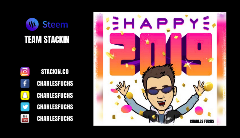 happy-new-year-2019-stackin-charles-fuchs-steemit-steem-crypto-cryptocurrency-life-motivation-inspiration.png